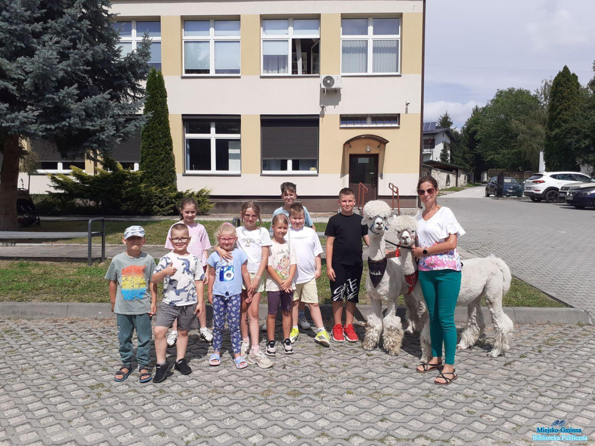 „Spotkanie bajkowe z alpakami” – alpakoterapia