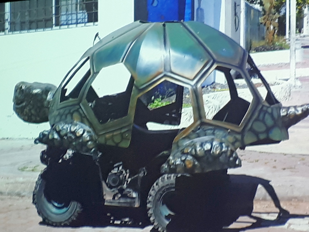„Żółwie” wyspy Galapagos