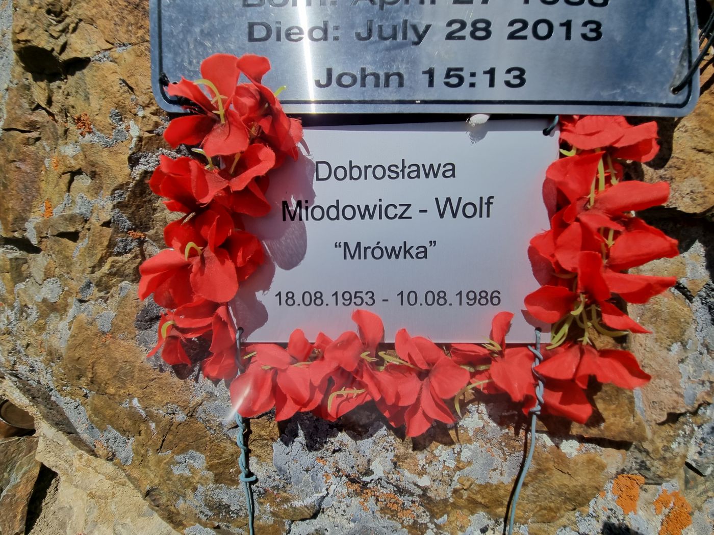 Wspomnienie o Dobrosławie Miodowicz-Wolf