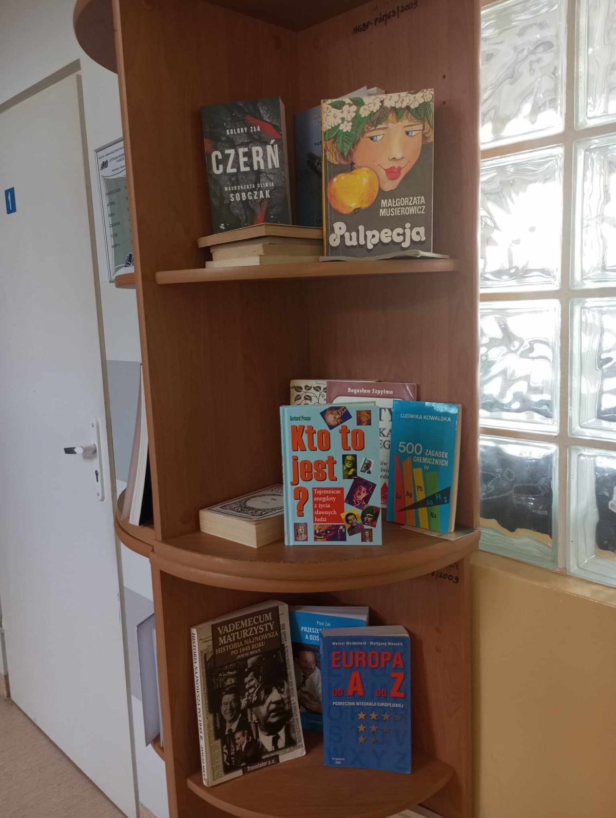 Książki lezą na polce