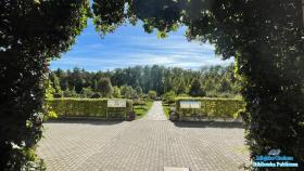 Ogród z krzewami i drzewami