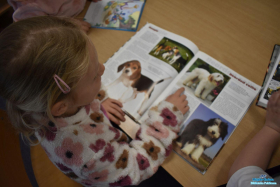 Dziewczynka ogląda książkę o psach