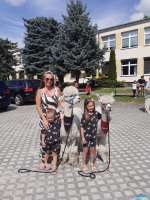 Dwie dziewczynki z mama stoją przy  dwóch alpakach
