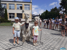 Dwoje dzieci stoi przy dwóch alpakach, a w tle grupa dzieci