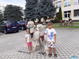 Dwójka dzieci stoi przy alpkach, a w tle grupa dzieci